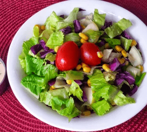 GARDEN SALAD